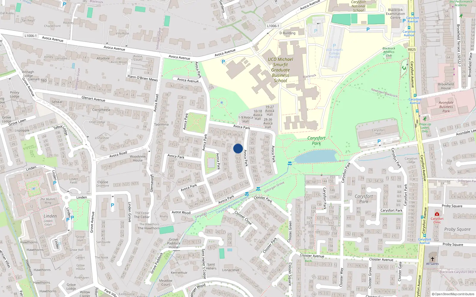 Overhead map showing the location of 65 Avoca Park, Blackrock