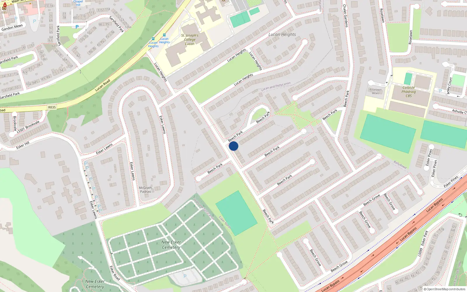Overhead map showing the location of 65 Beech Park, Lucan