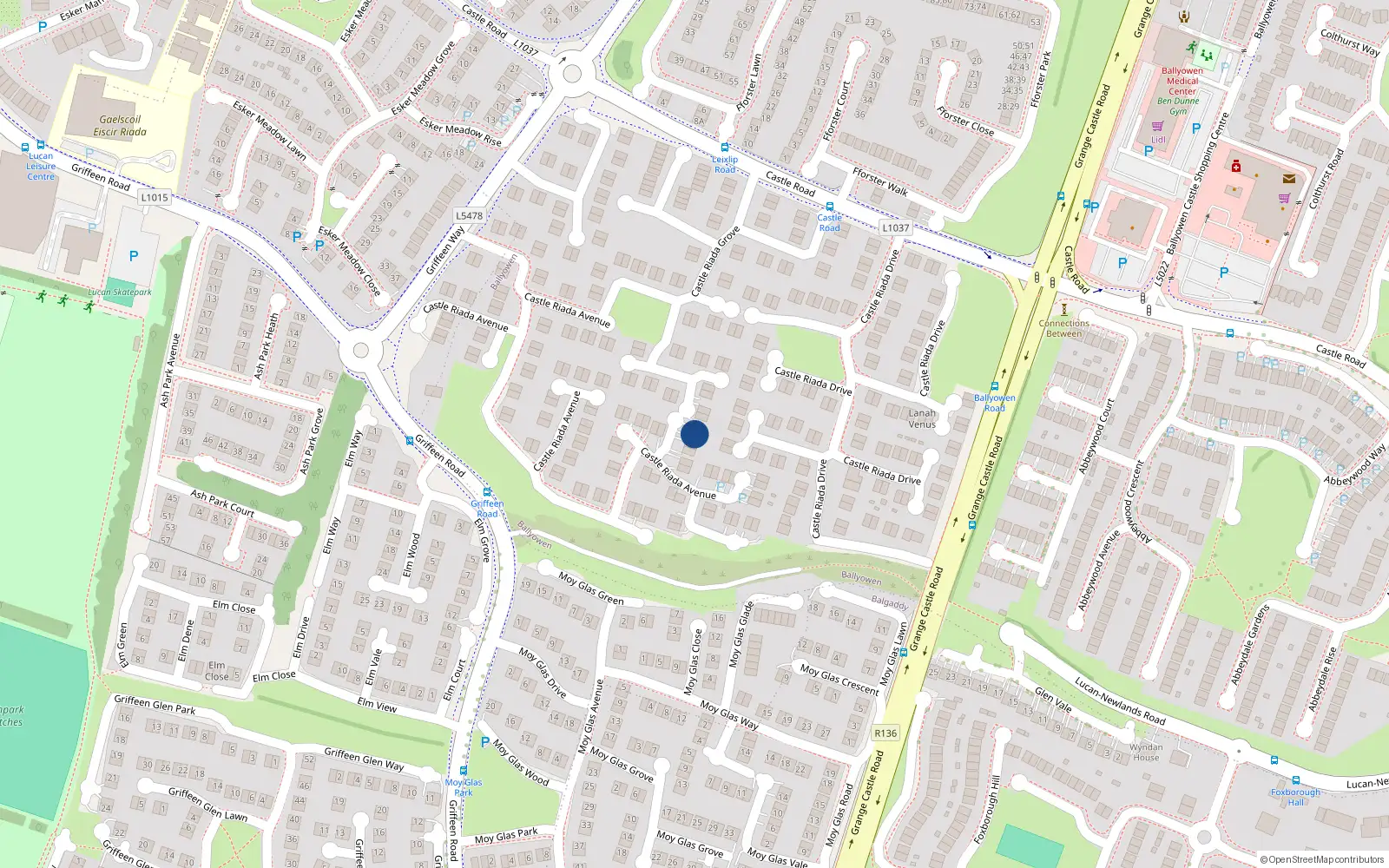 Overhead map showing the location of 65 Castle Riada Avenue, Lucan