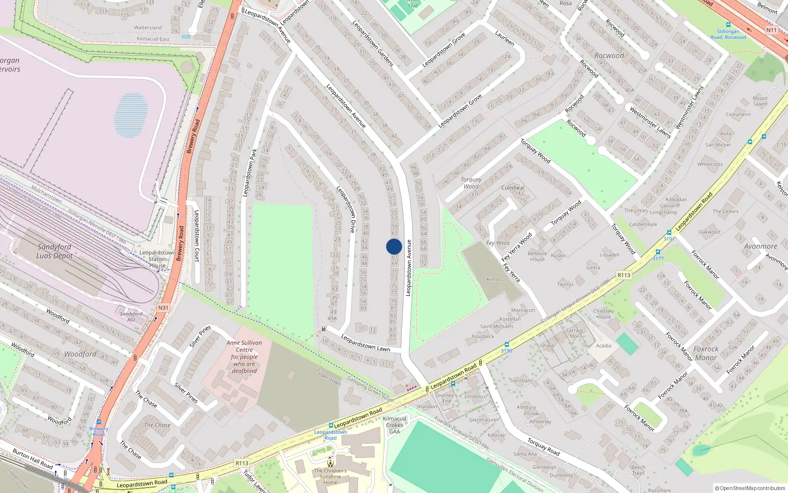 Overhead map showing the location of 65 Leopardstown Avenue, Dublin