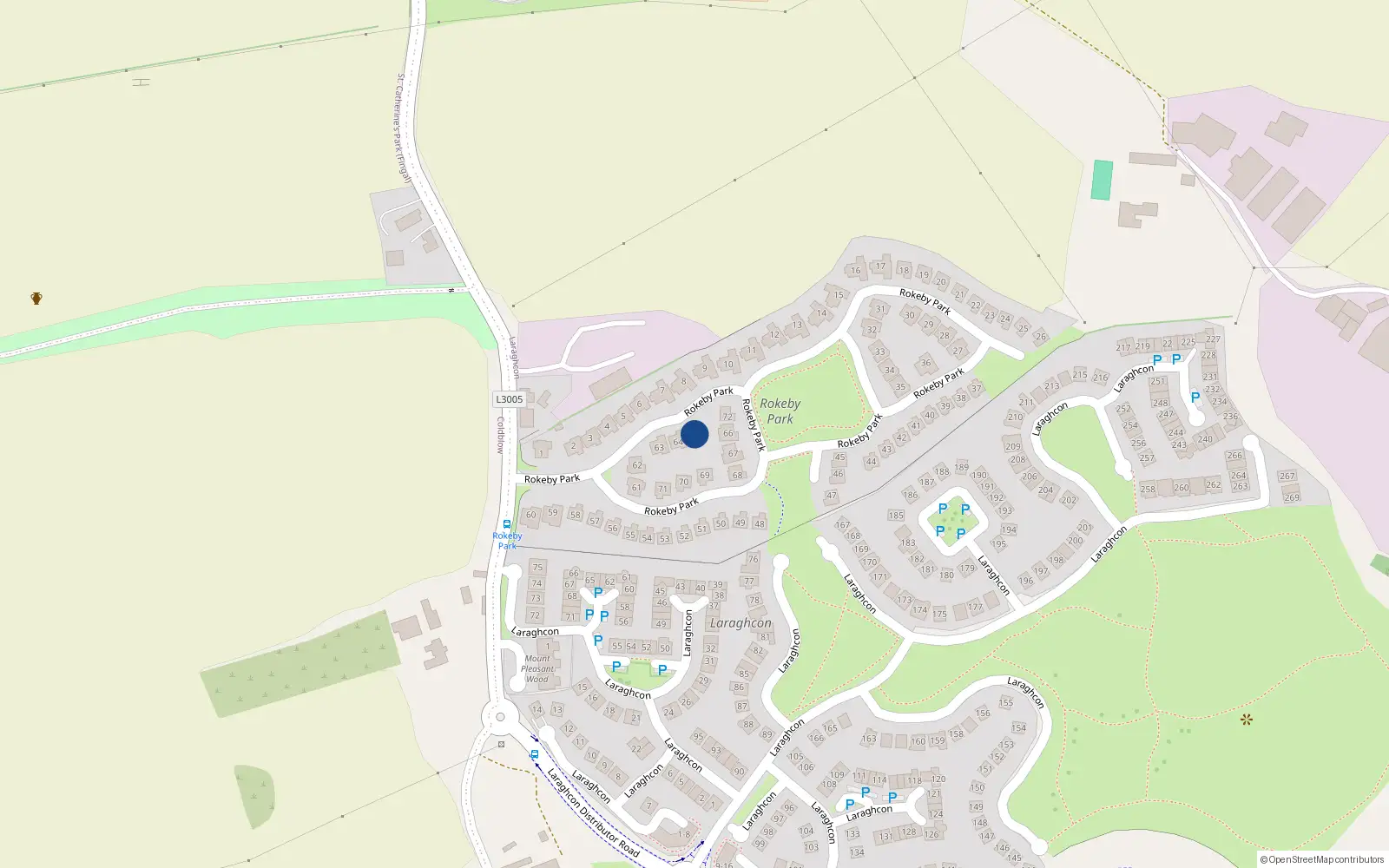 Overhead map showing the location of 65 Rokeby Park, Lucan