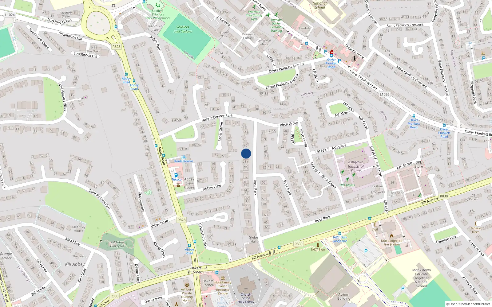 Overhead map showing the location of 65 Rory O'Connor Park, Dublin