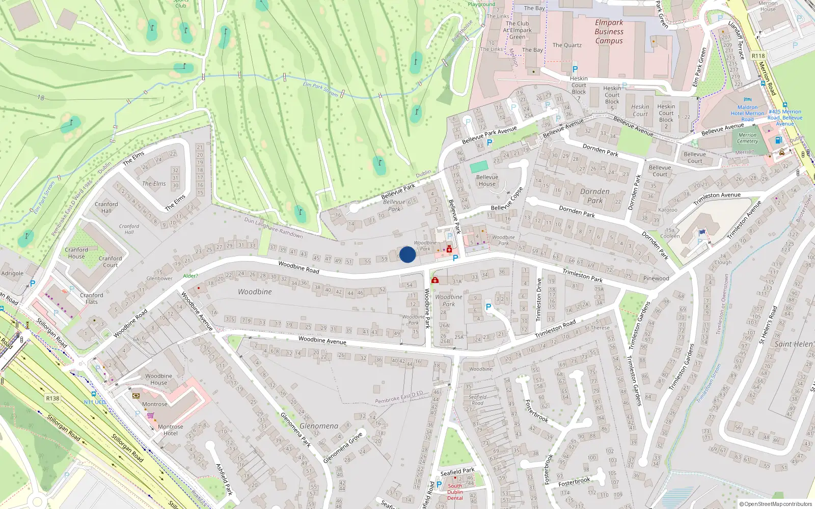 Overhead map showing the location of 65 Woodbine Road, Blackrock