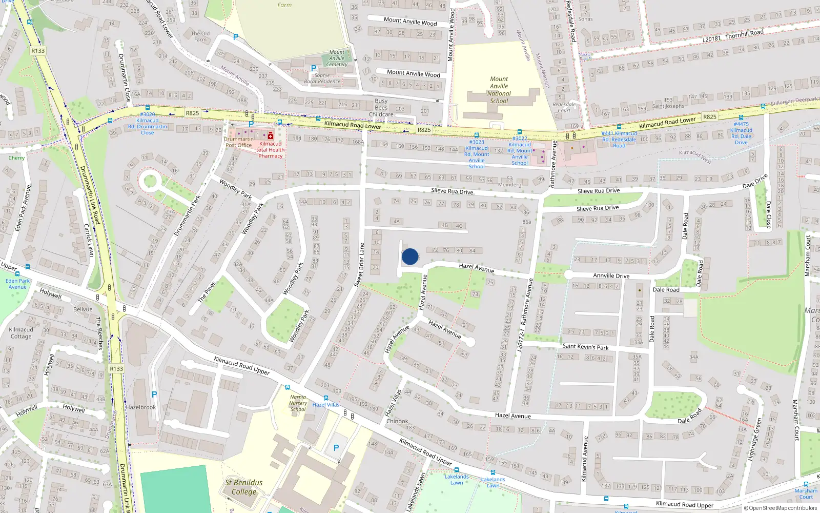 Overhead map showing the location of 66 Hazel Avenue, Blackrock
