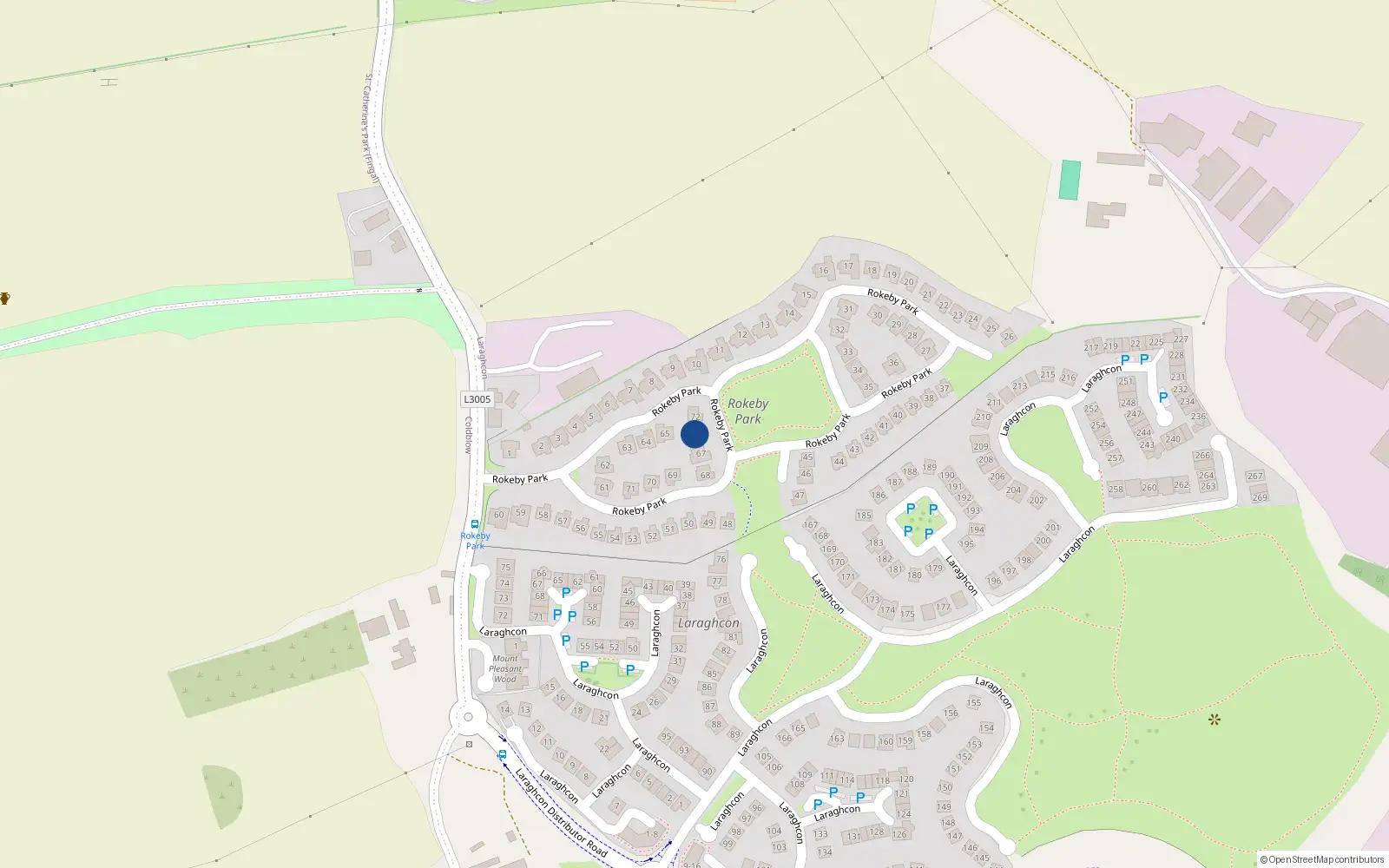 Overhead map showing the location of 66 Rokeby Park, Lucan