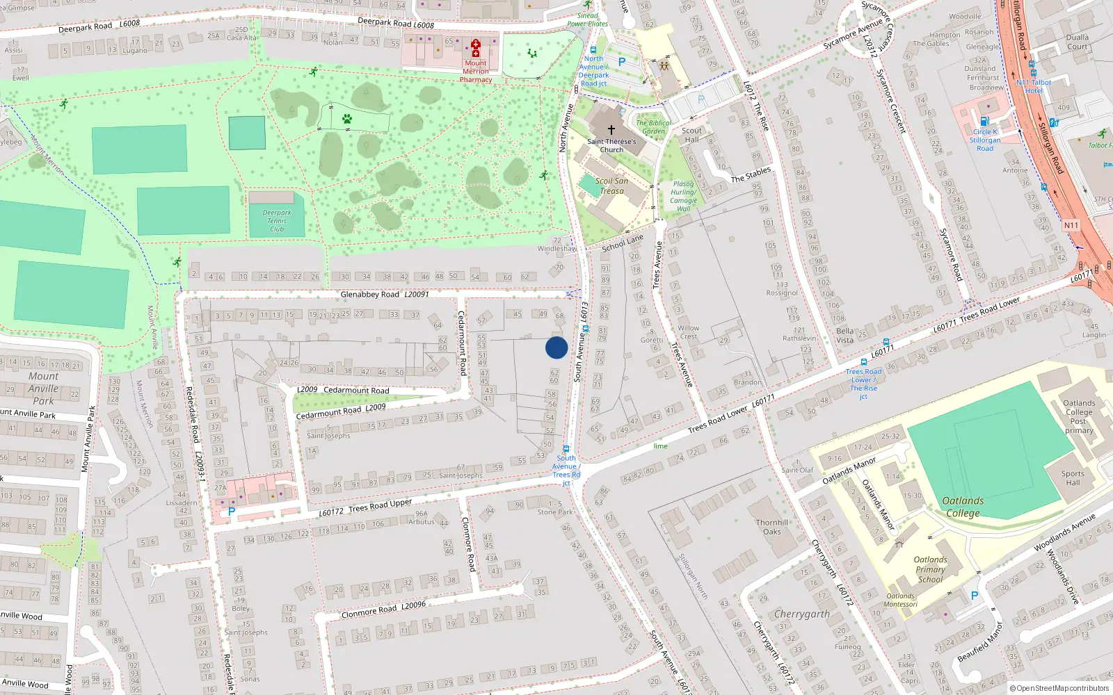 Overhead map showing the location of 66 South Avenue, Mount Merrion, Dublin