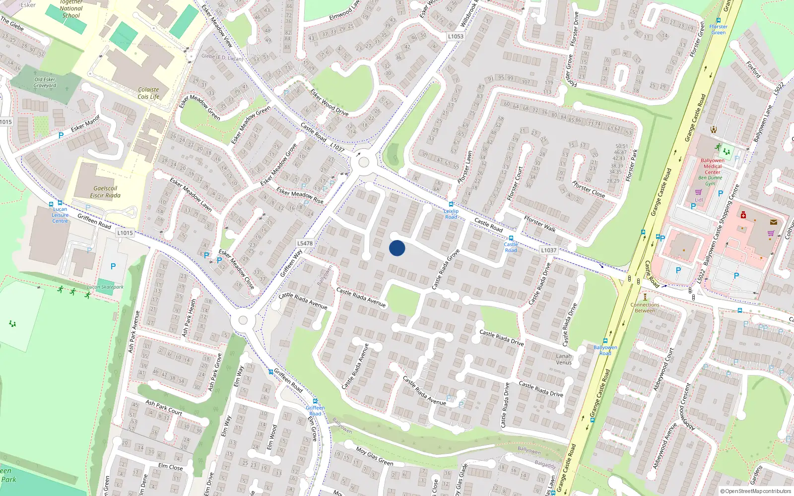 Overhead map showing the location of 67 Castle Riada Grove, Lucan