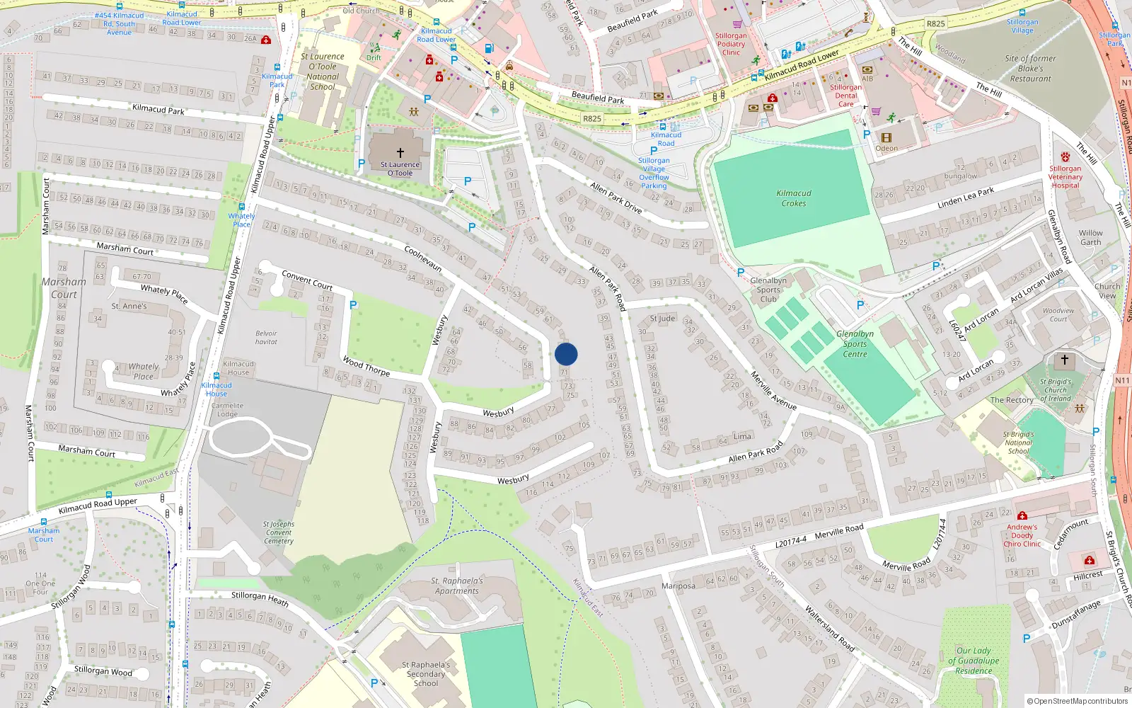 Overhead map showing the location of 67 Coolnevaun, Blackrock