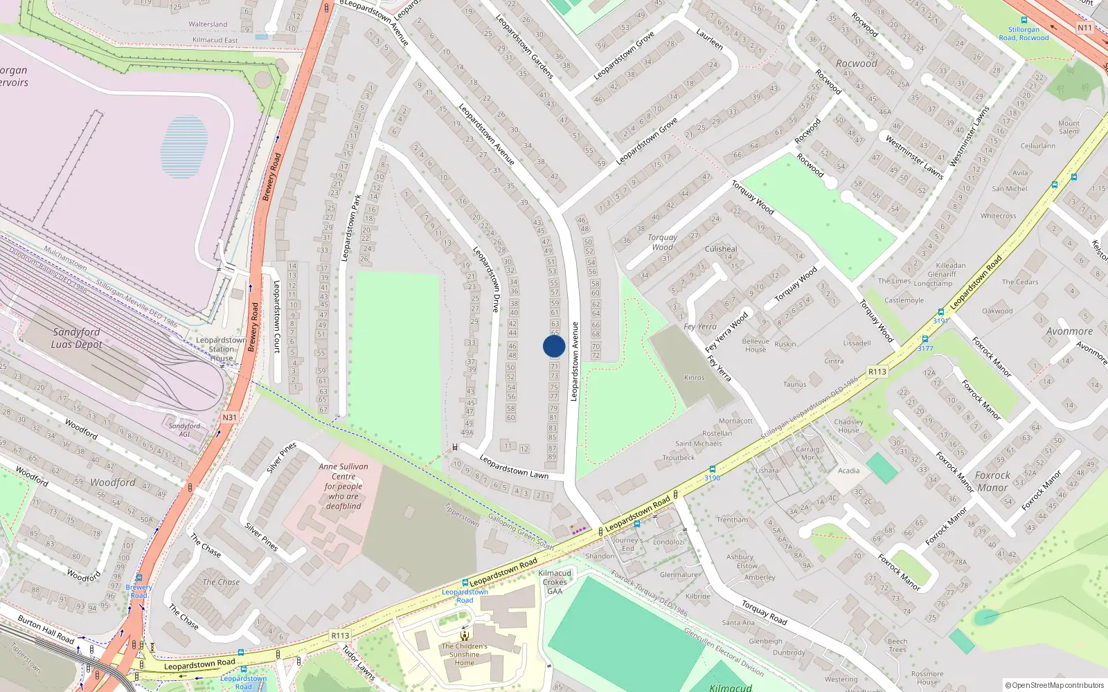 Overhead map showing the location of 67 Leopardstown Avenue, Blackrock, Dublin