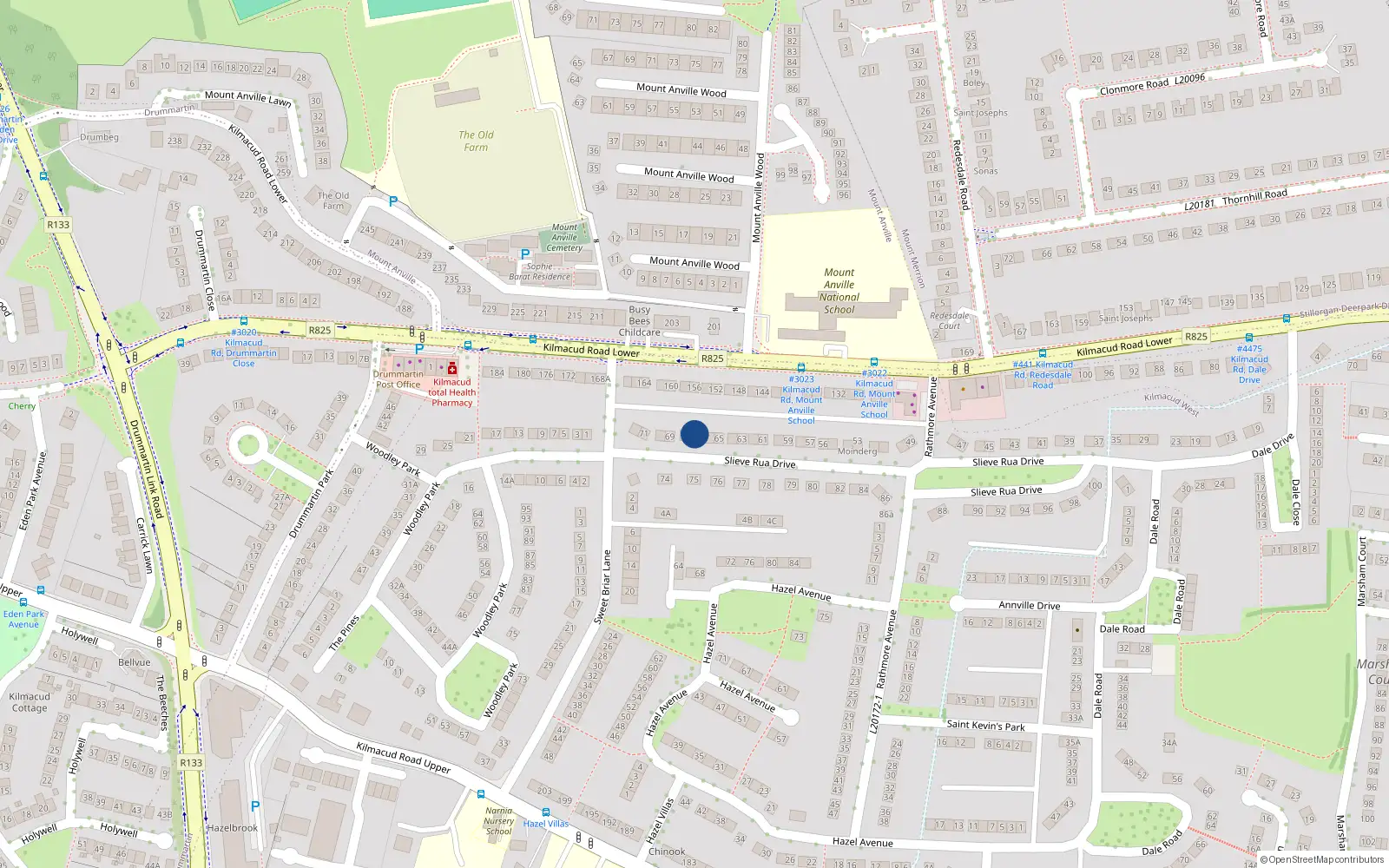 Overhead map showing the location of 67 Slieve Rua Drive, Blackrock