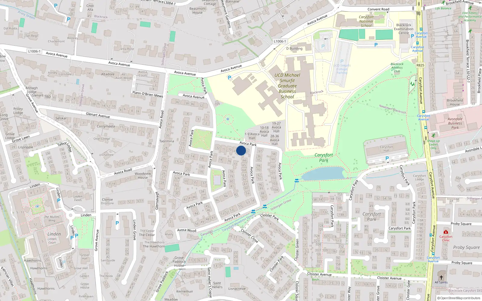 Overhead map showing the location of 68 Avoca Park, Blackrock