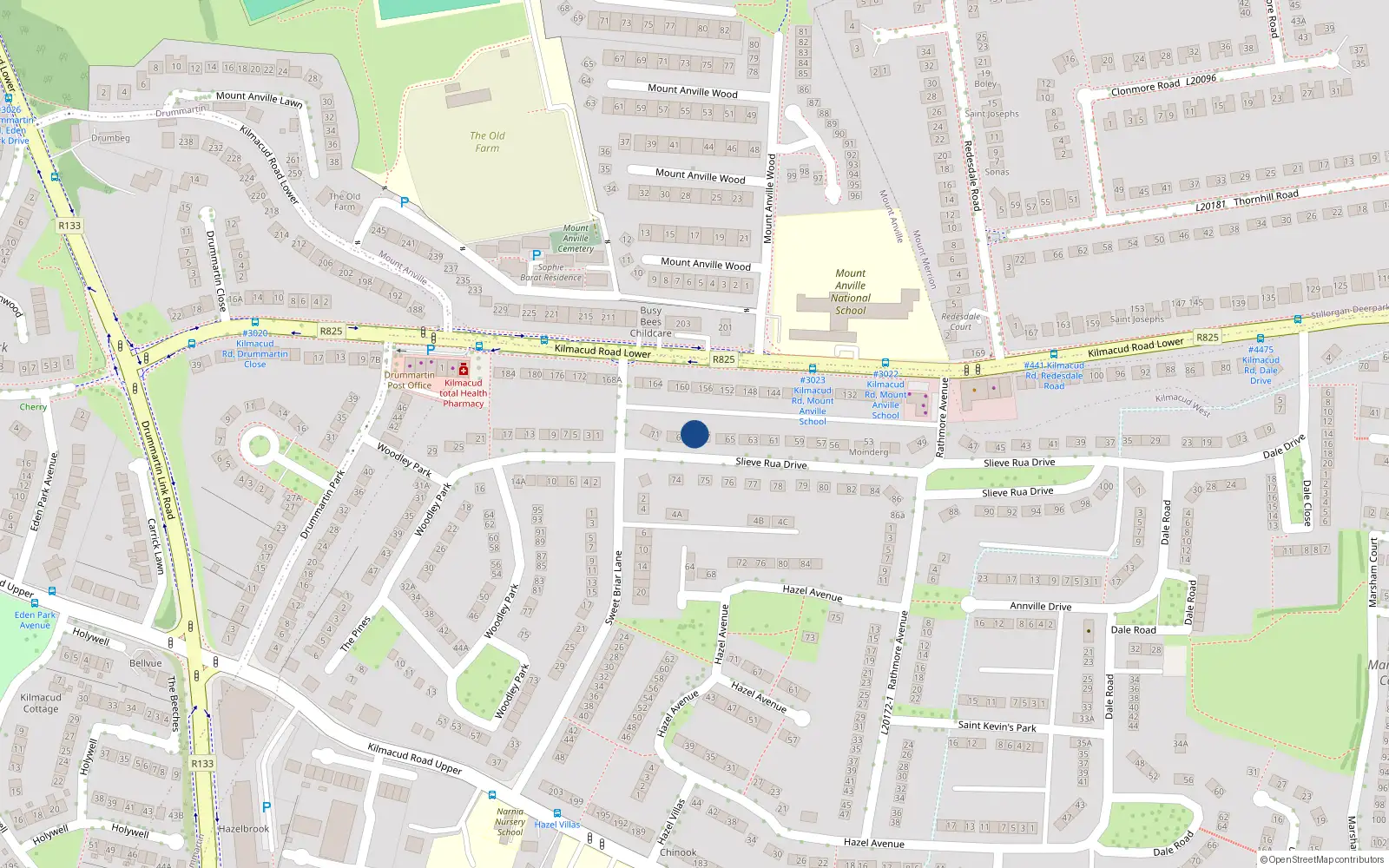 Overhead map showing the location of 68 Slieve Rua Drive, Blackrock