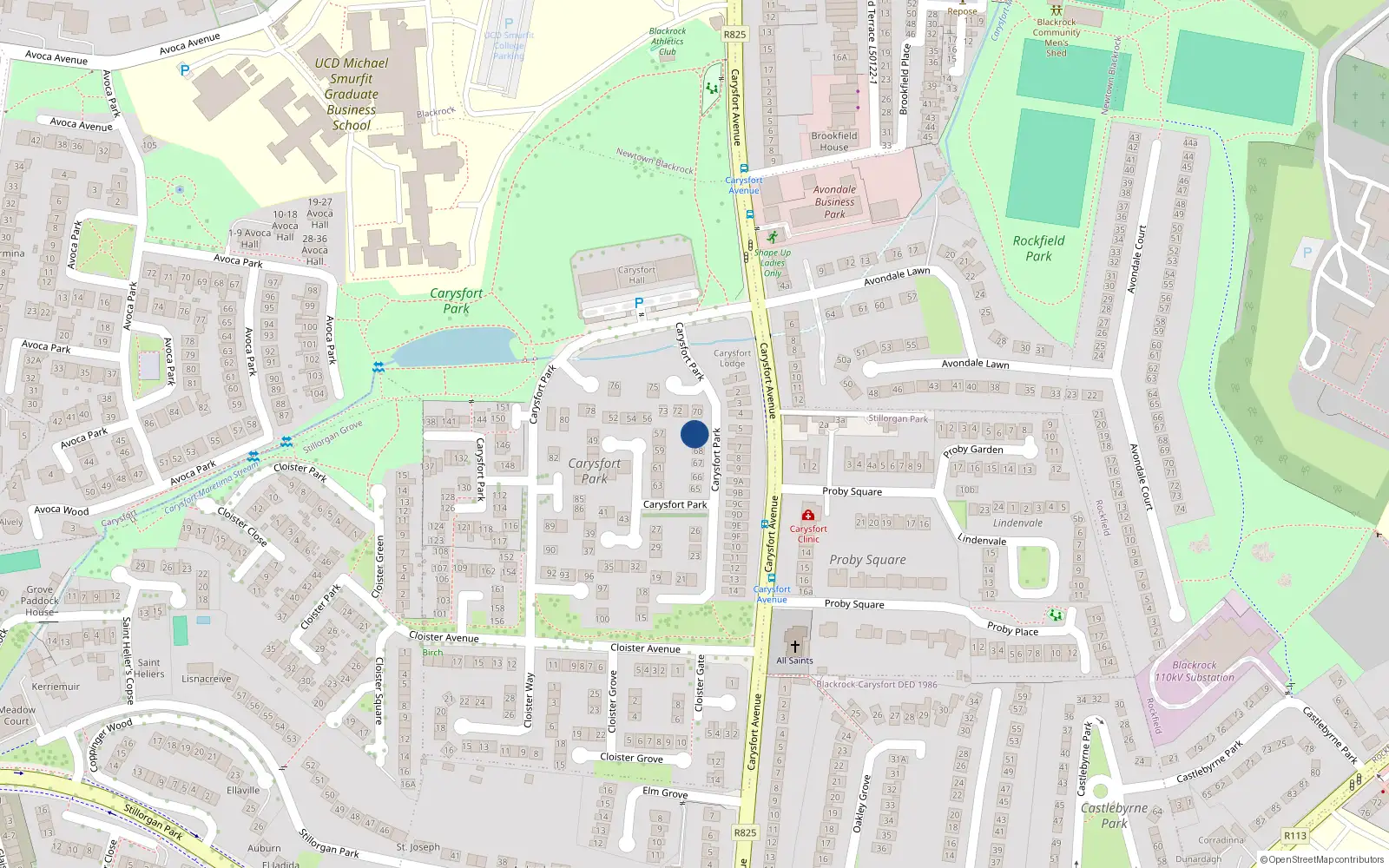 Overhead map showing the location of 69 Carysfort Park, Blackrock