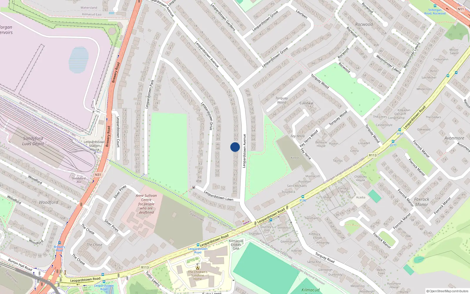 Overhead map showing the location of 69 Leopardstown Avenue, Dublin
