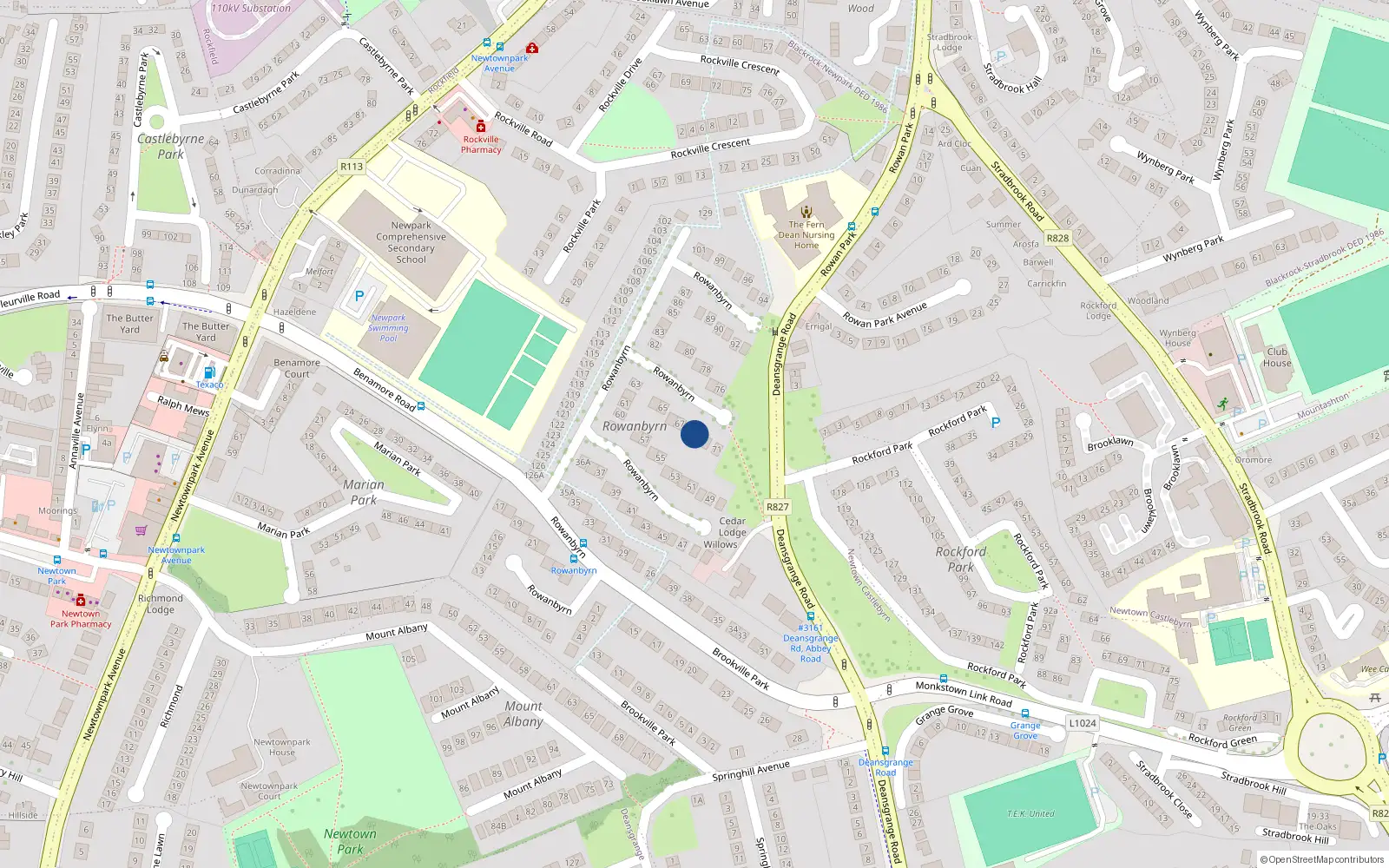 Overhead map showing the location of 69 Rowanbyrn, Blackrock