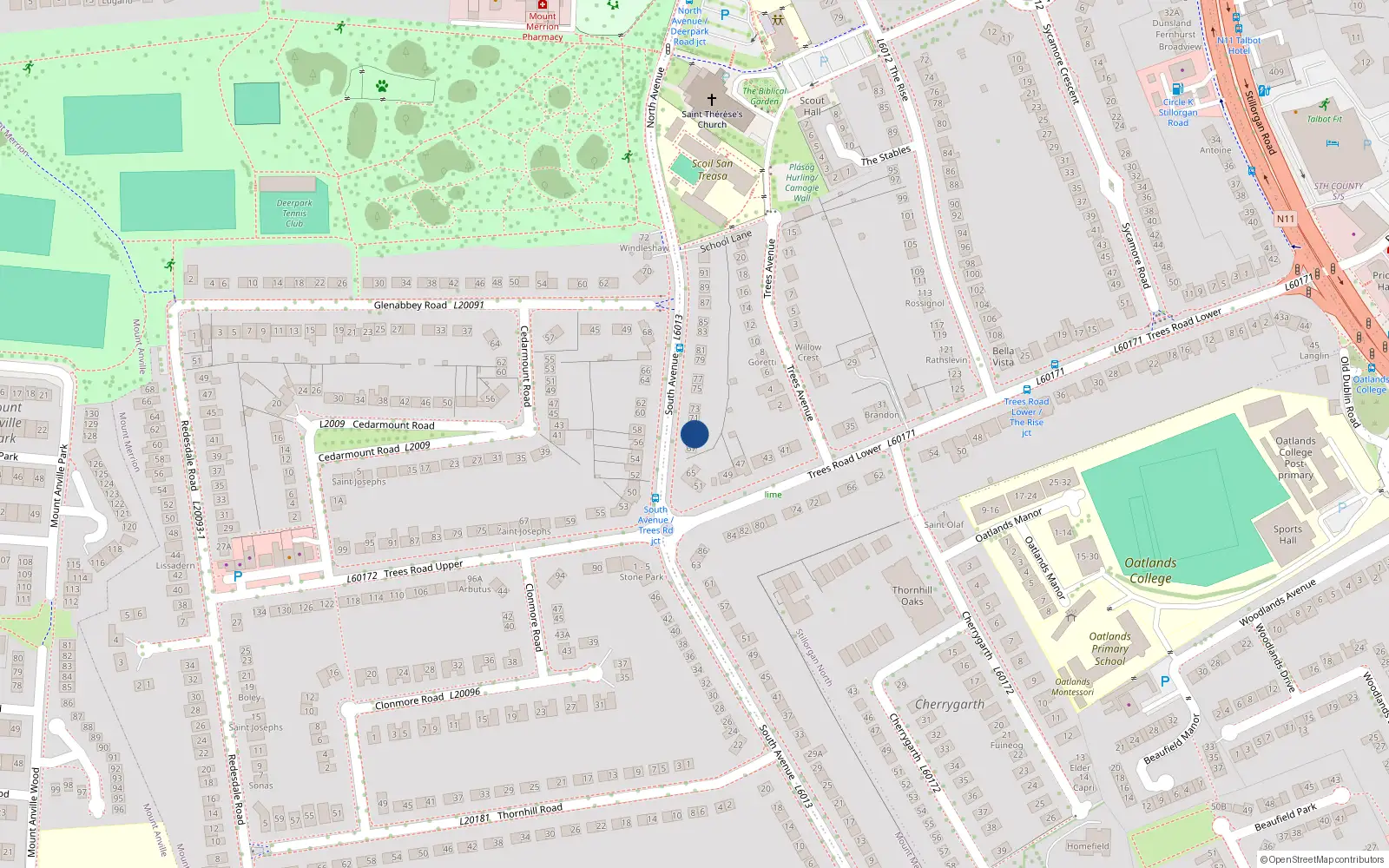 Overhead map showing the location of 69 South Avenue, Blackrock