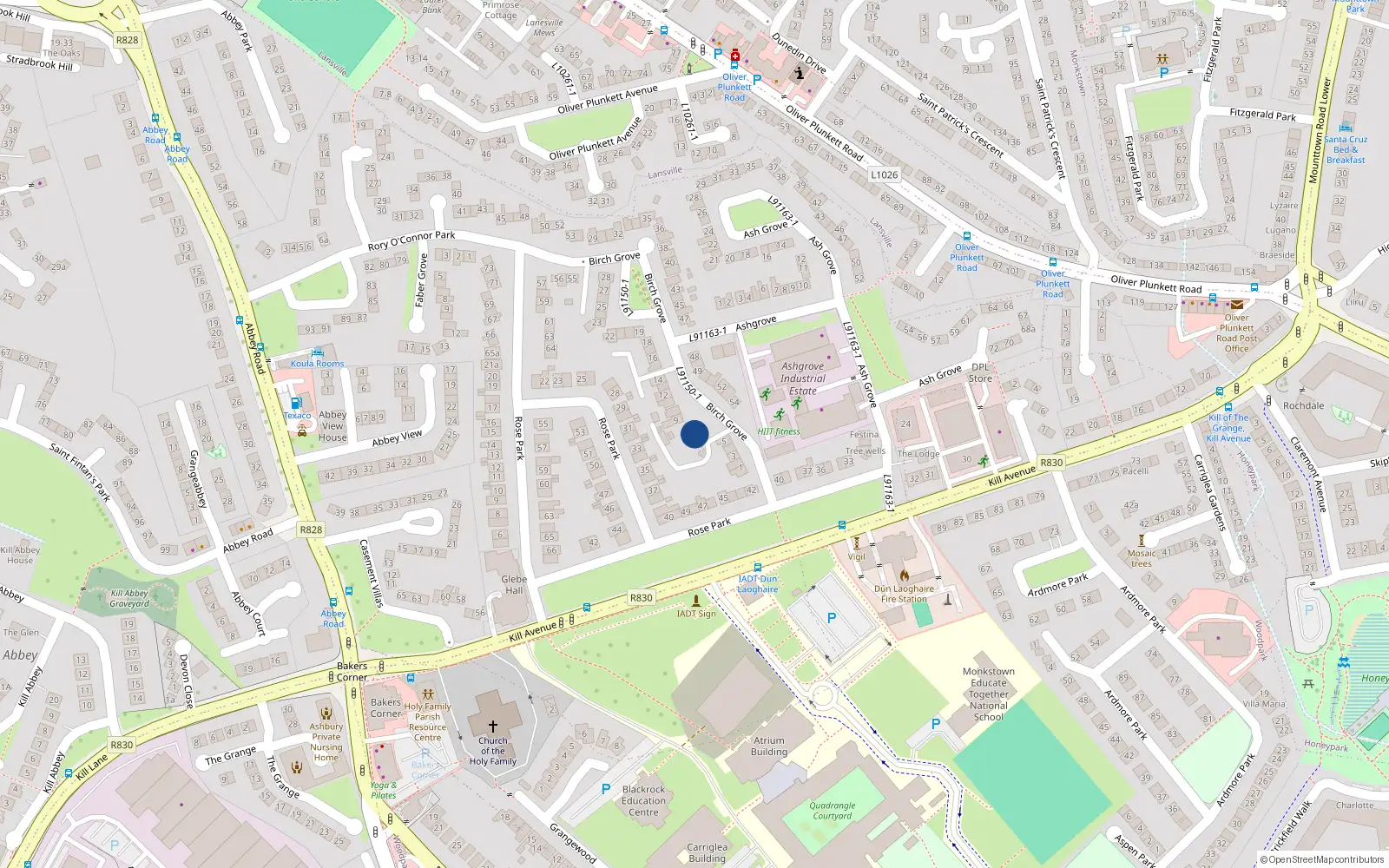 Overhead map showing the location of 7 Birch Grove, Kill Avenue, Dun Laoghaire