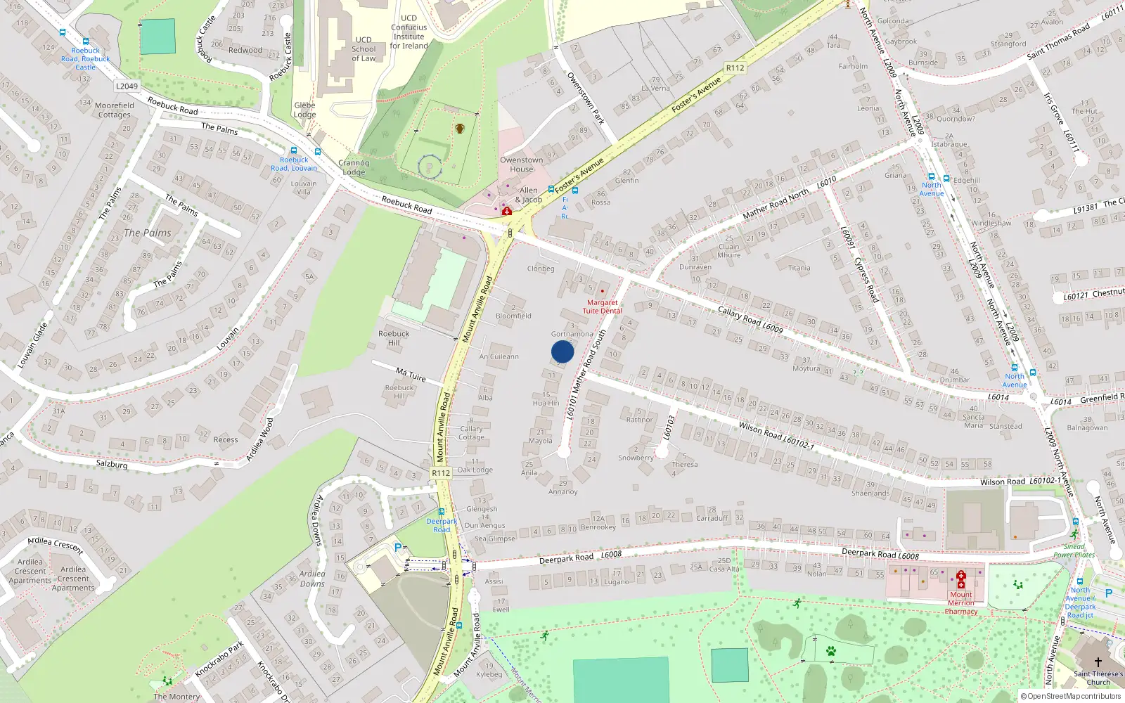 Overhead map showing the location of 7 Mather Road South, Blackrock