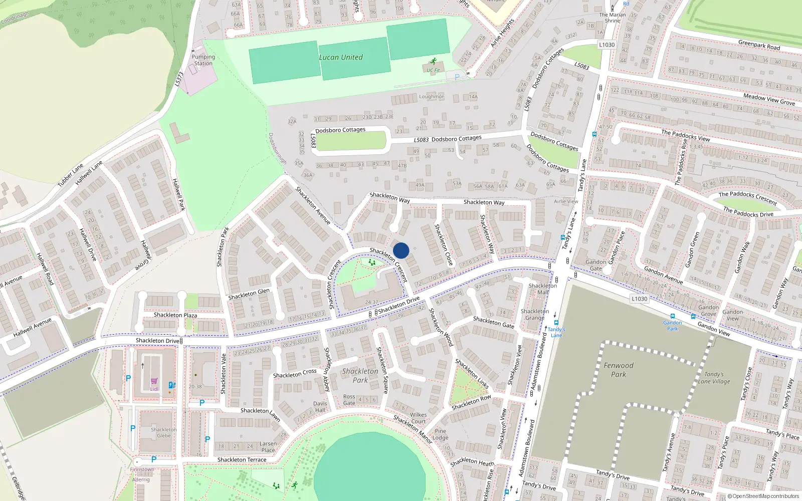 Overhead map showing the location of 7 Shackleton Crescent, Lucan