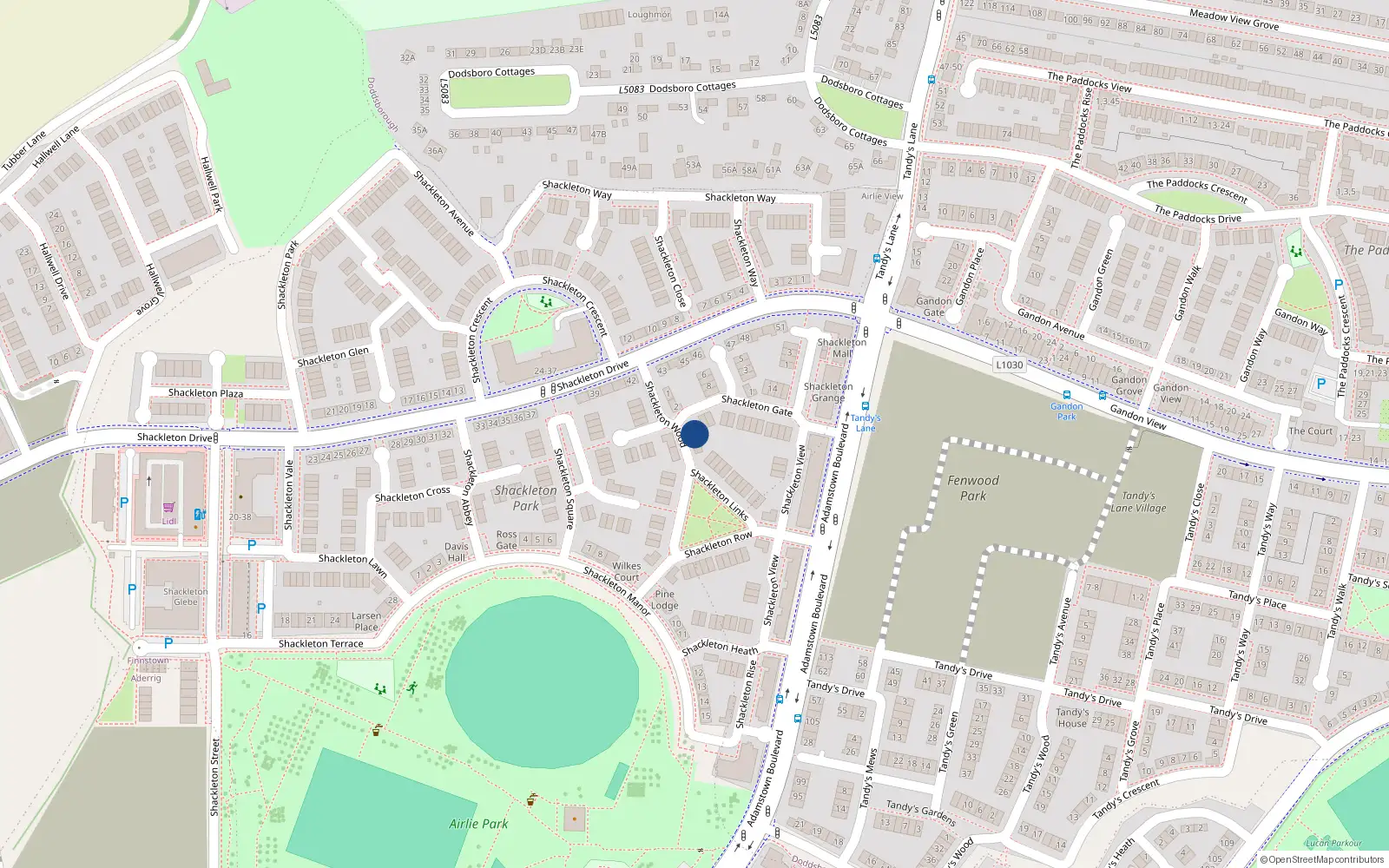 Overhead map showing the location of 7 Shackleton Wood, Lucan