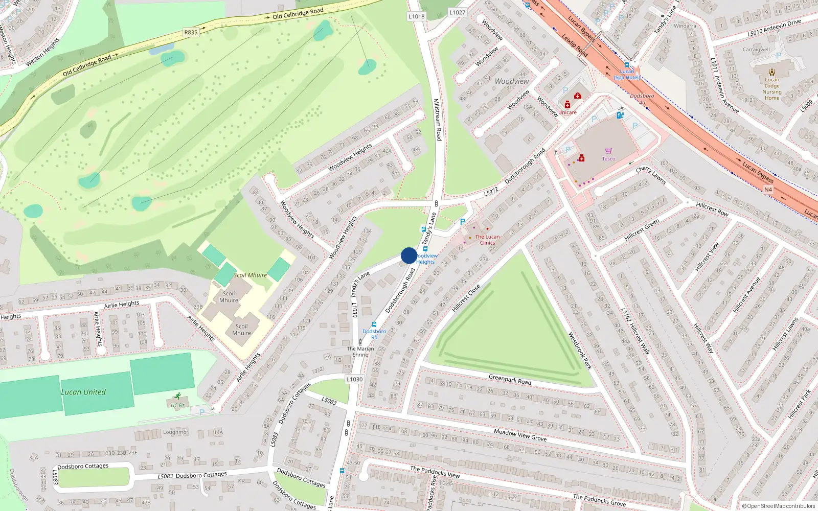 Overhead map showing the location of 7 Tandy's Lane, Lucan