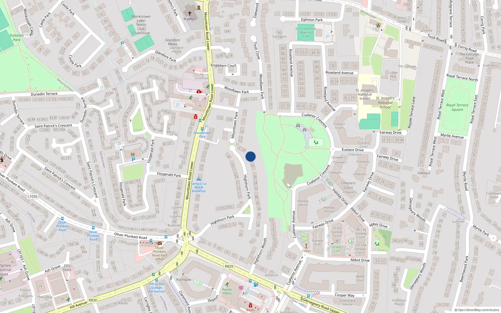 Overhead map showing the location of 70 Highthorn Park, Monkstown