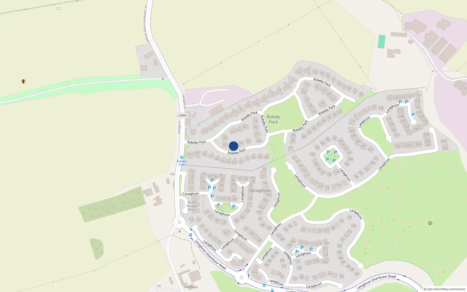 Overhead map showing the location of 71 Rokeby Park, Lucan
