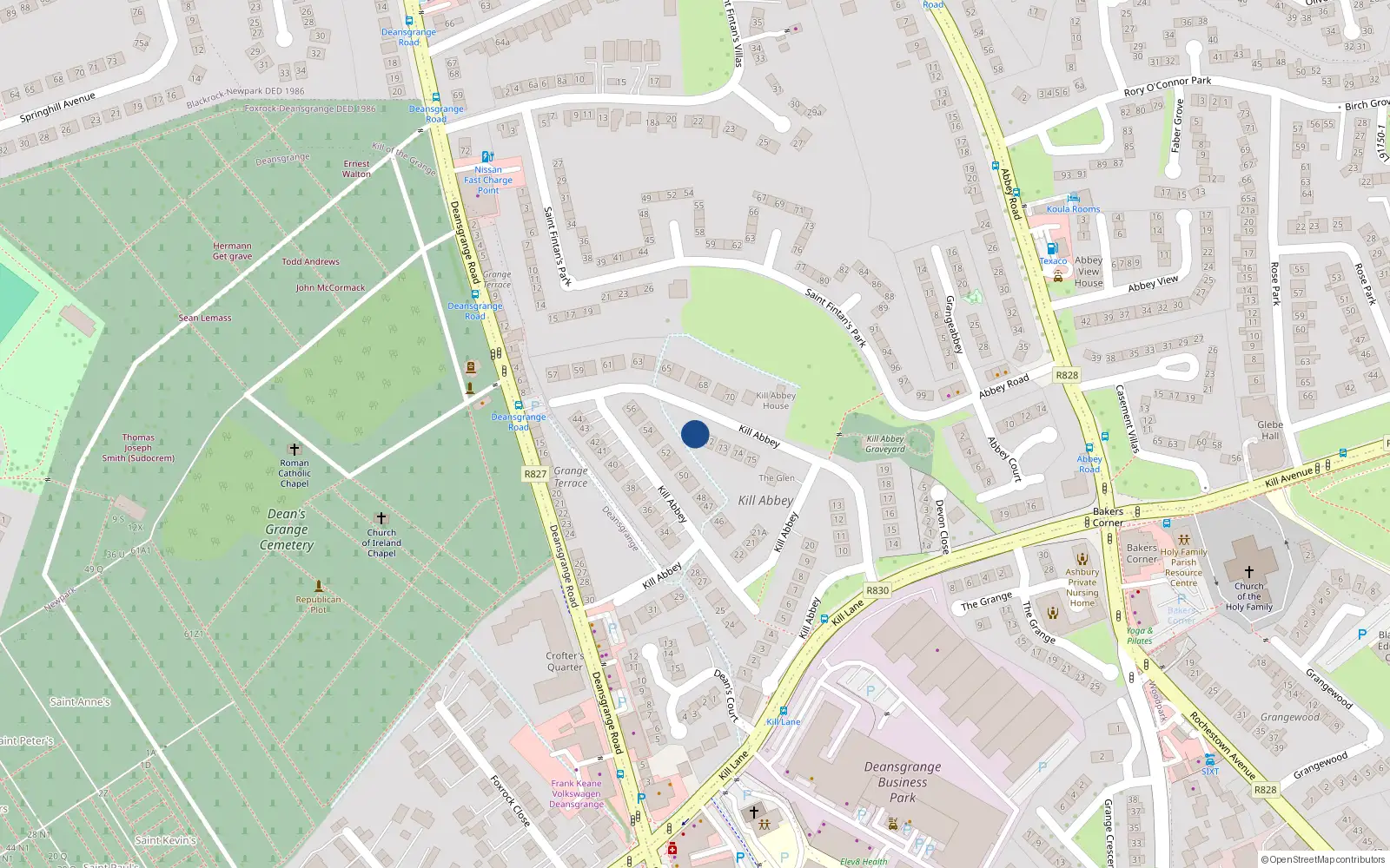 Overhead map showing the location of 71 Kill Abbey, Blackrock