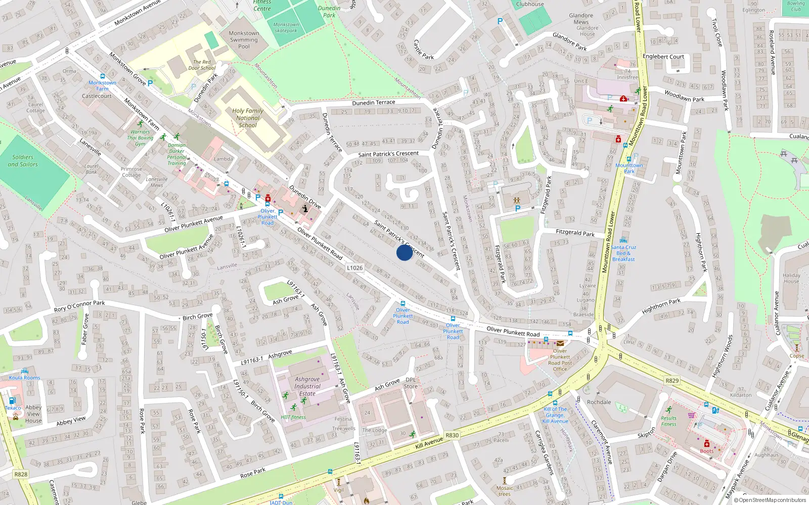 Overhead map showing the location of 72 St. Patricks Crescent, Monkstown Farm, Monkstown