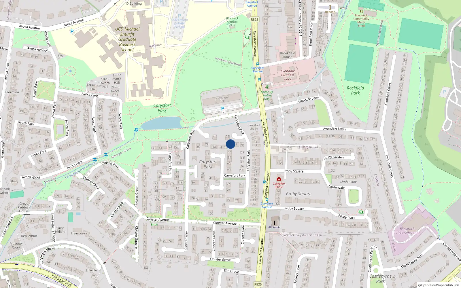 Overhead map showing the location of 73 Carysfort Park, Blackrock