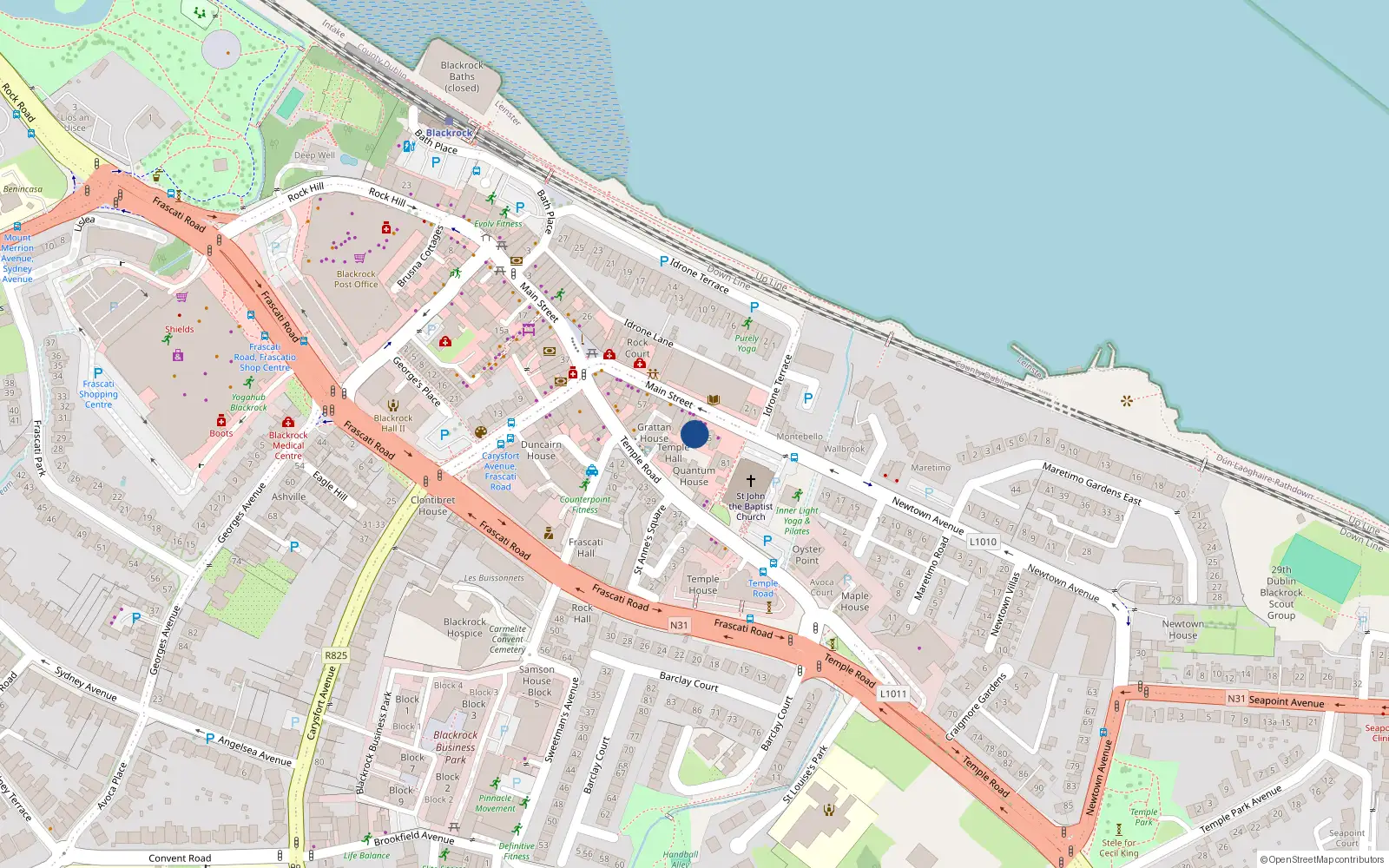 Overhead map showing the location of 73 Main Street, Blackrock