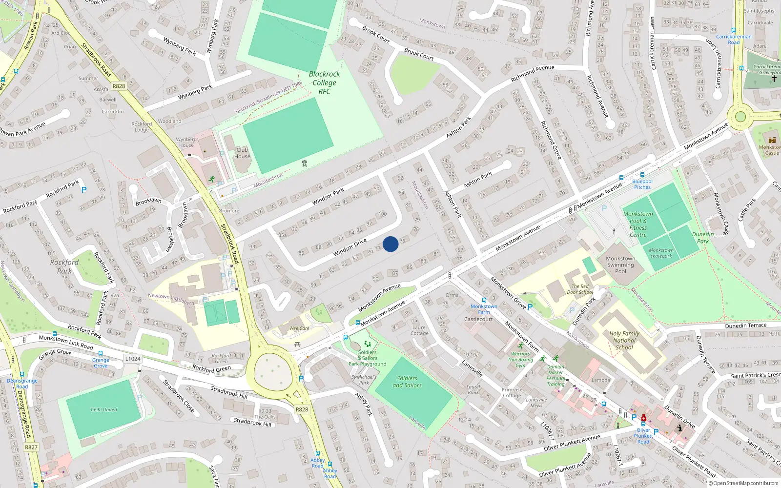 Overhead map showing the location of 73 Windsor Drive, Monkstown
