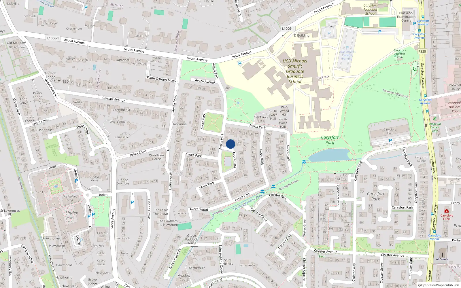 Overhead map showing the location of 74 Avoca Park, Off Avoca Avenue, Blackrock