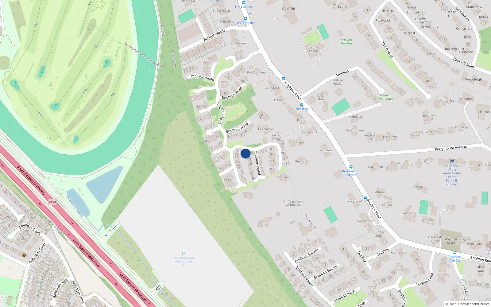 Overhead map showing the location of 74 Brighton Wood, Foxrock