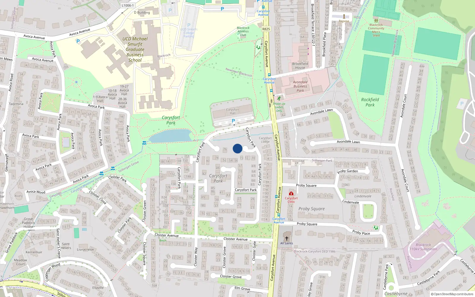 Overhead map showing the location of 74 Carysfort Park, Blackrock