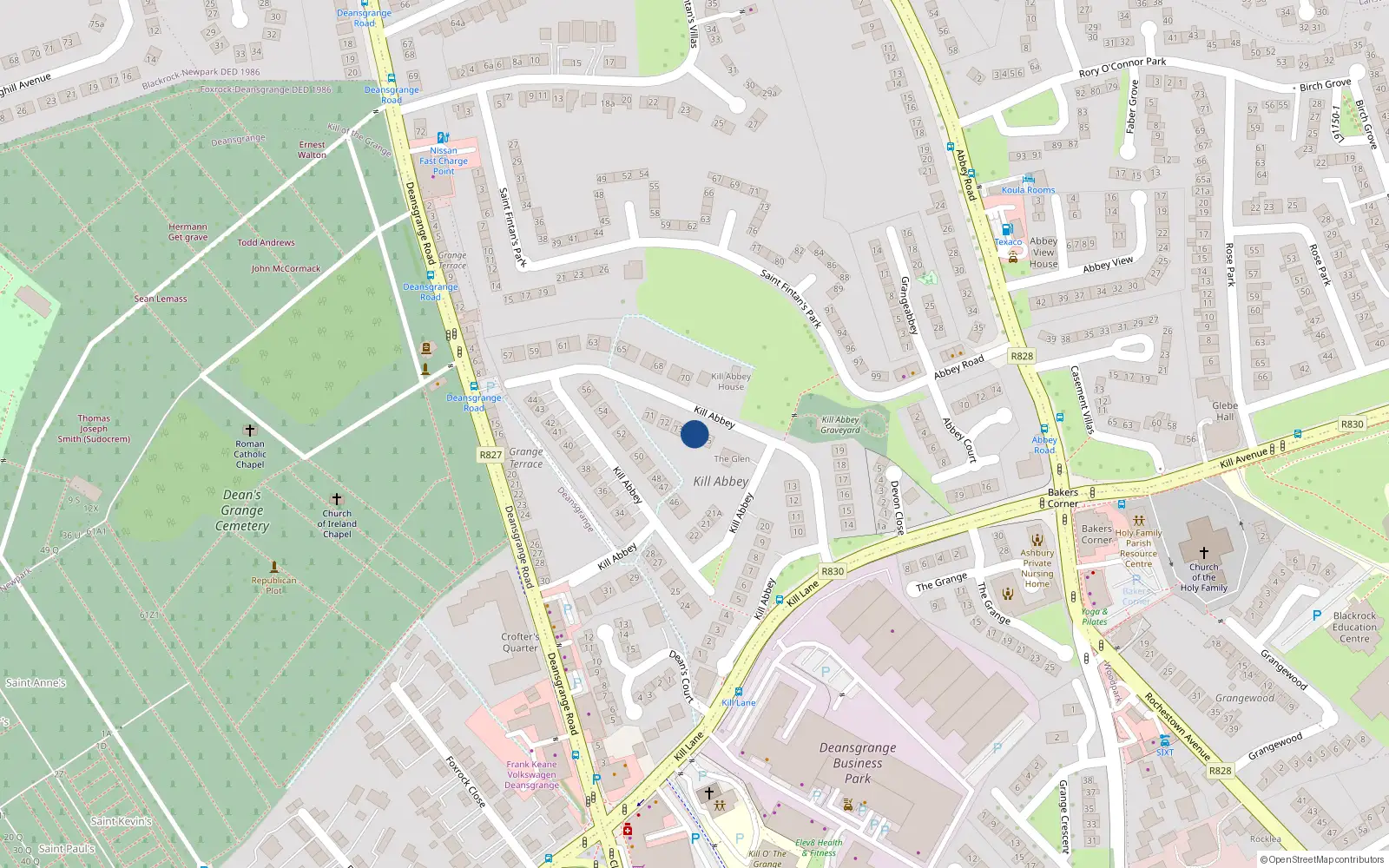 Overhead map showing the location of 74 Kill Abbey, Blackrock