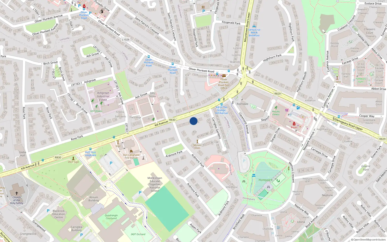 Overhead map showing the location of 74 Kill Avenue, Dublin