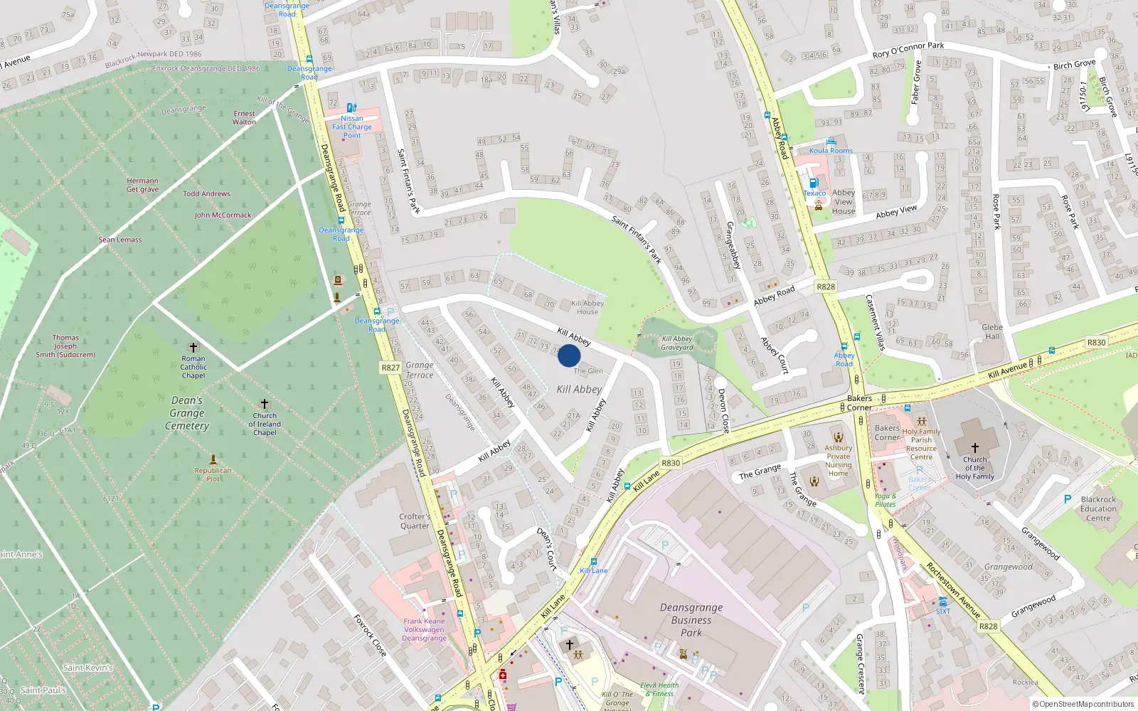 Overhead map showing the location of 75 Kill Abbey, Blackrock