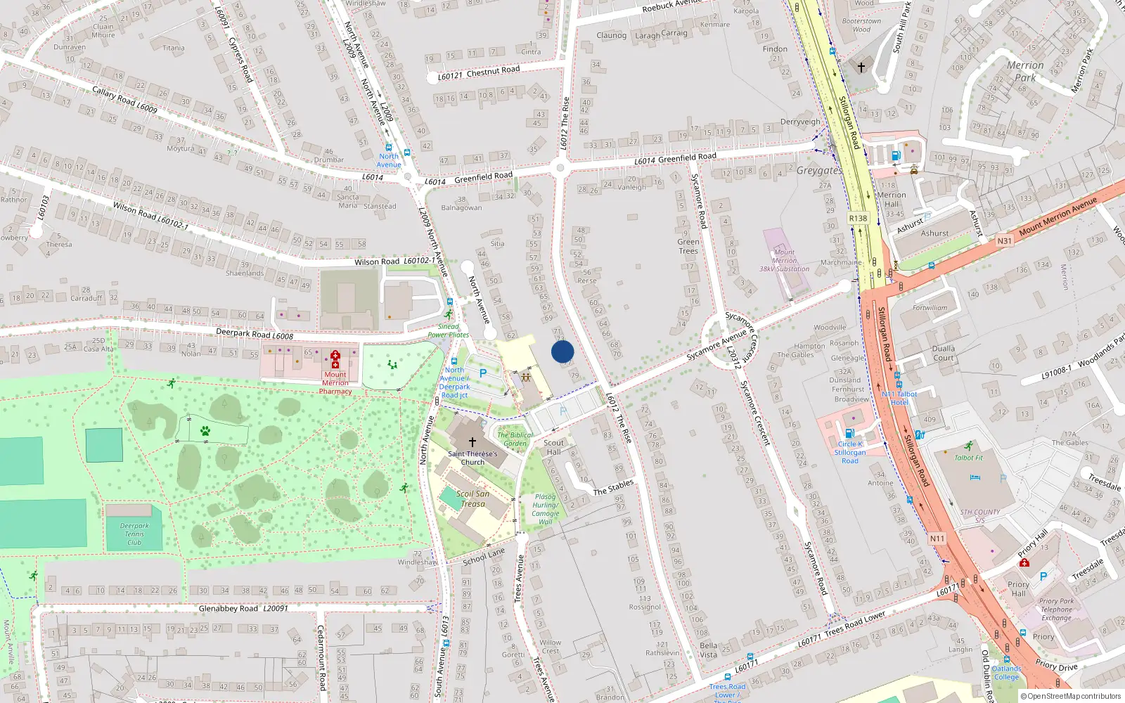 Overhead map showing the location of 75 The Rise, Blackrock