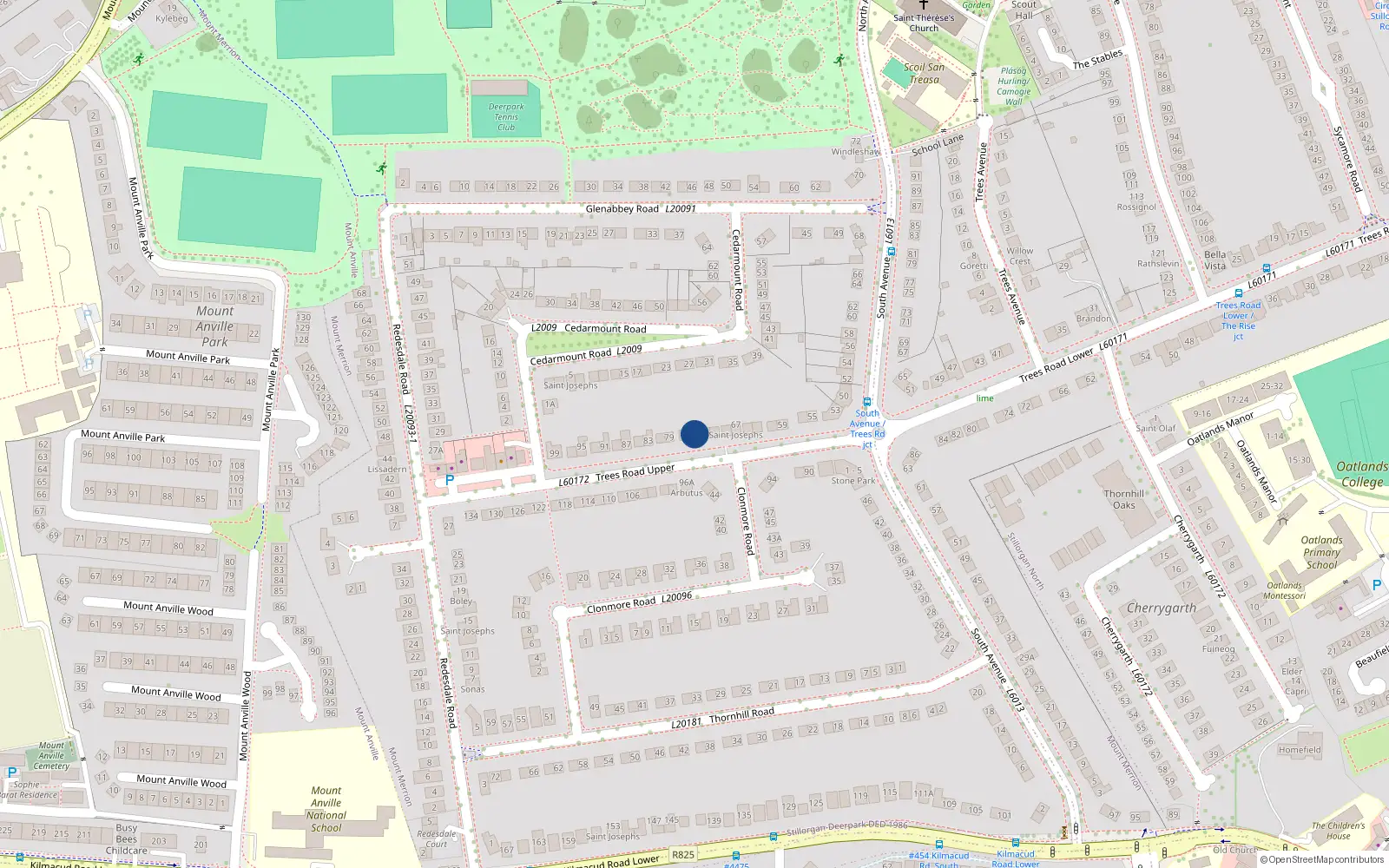 Overhead map showing the location of 75 Trees Road Upper, Blackrock