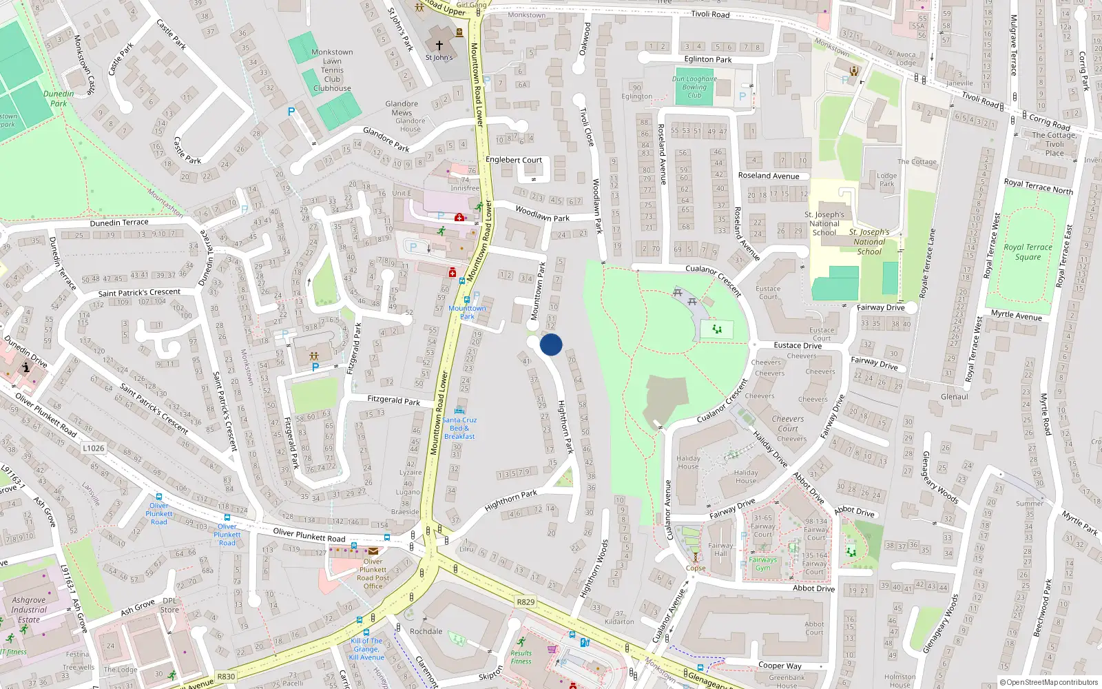 Overhead map showing the location of 76 Highthorn Park, Monkstown