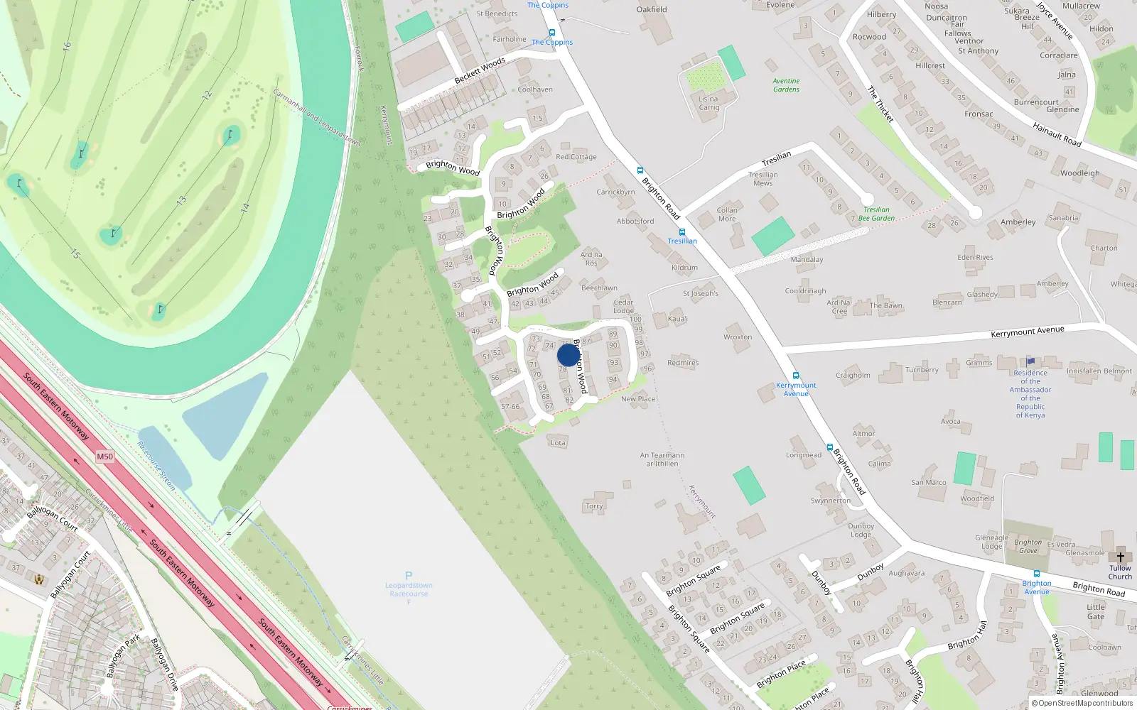 Overhead map showing the location of 77 Brighton Wood, Foxrock