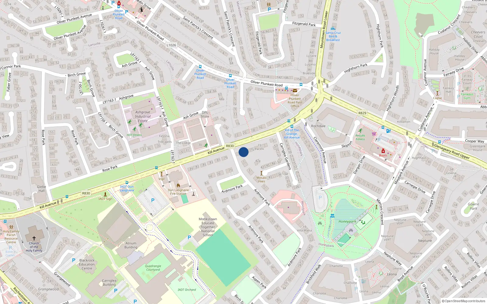 Overhead map showing the location of 77 Kill Avenue, Dun Laoghaire, Dublin