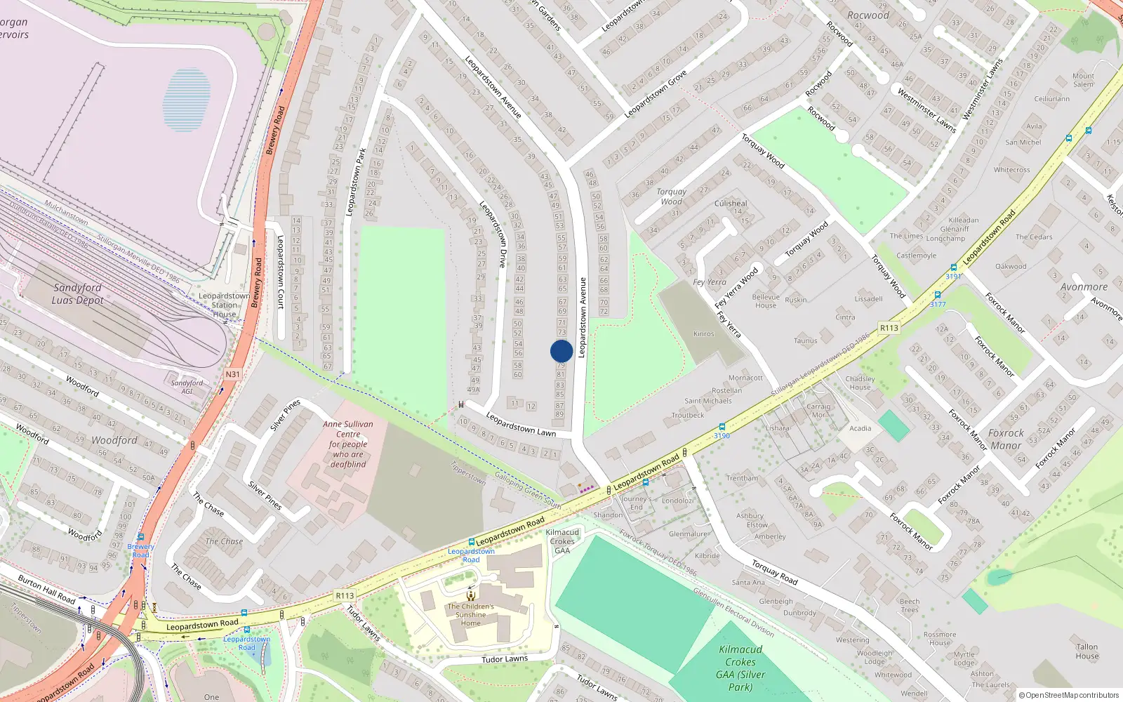 Overhead map showing the location of 77 Leopardstown Avenue, Dublin