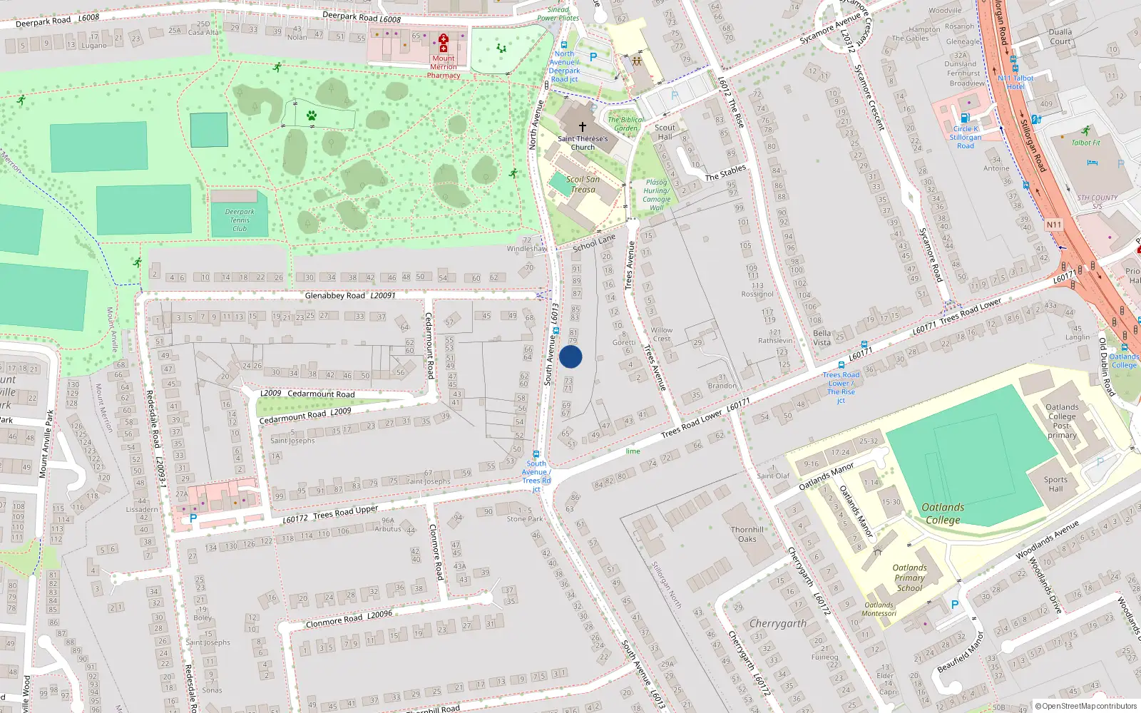 Overhead map showing the location of 77 South Avenue, Blackrock
