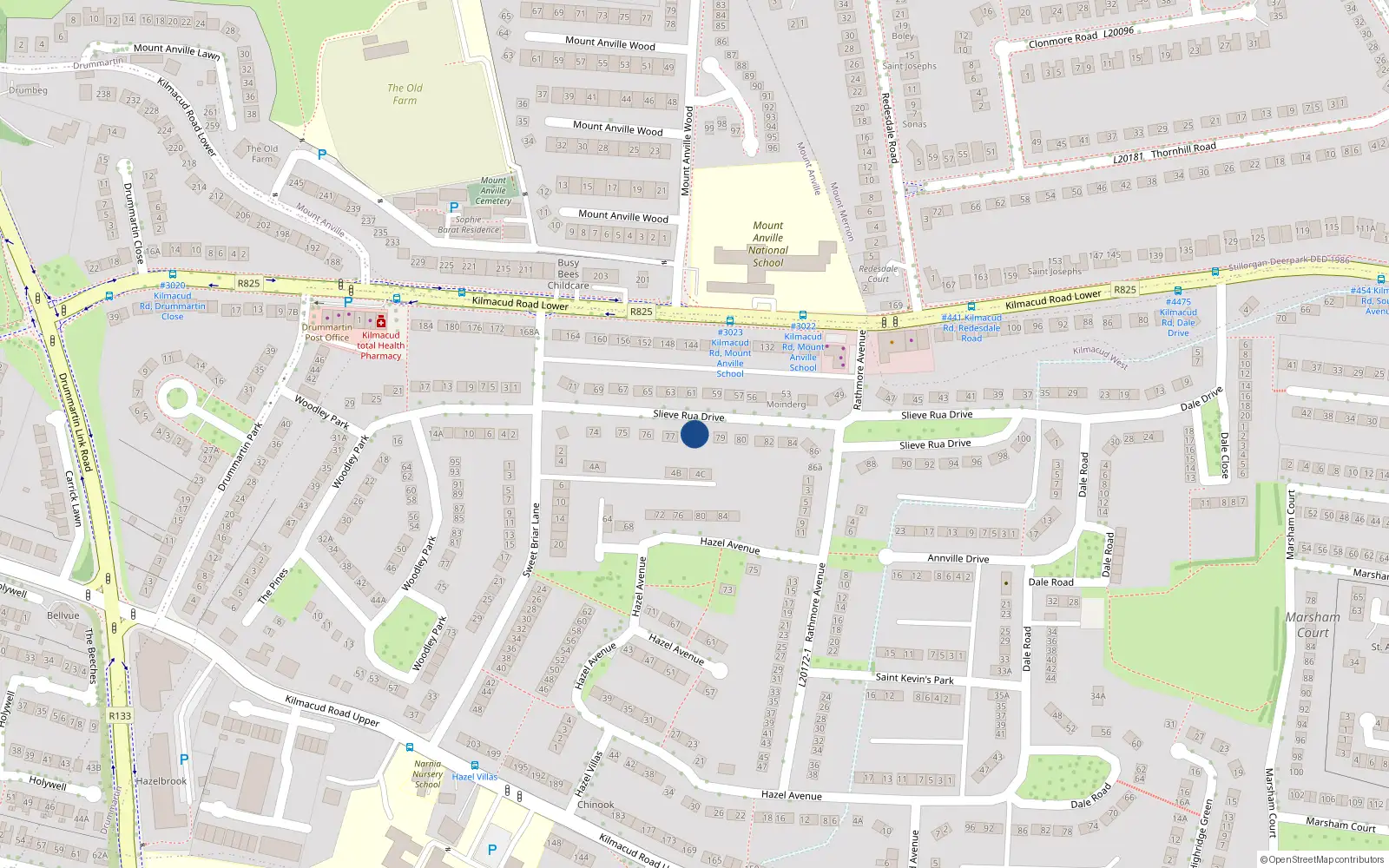 Overhead map showing the location of 78 Slieve Rua Drive, Blackrock