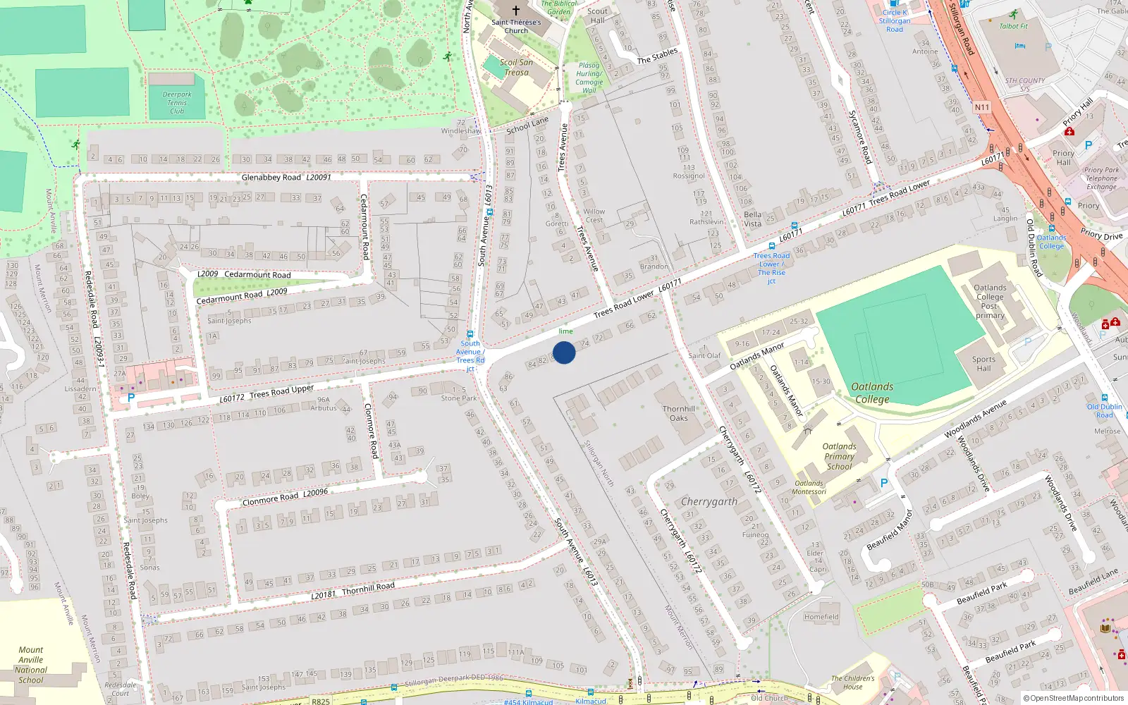 Overhead map showing the location of 78 Trees Road Lower, Mount Merrion