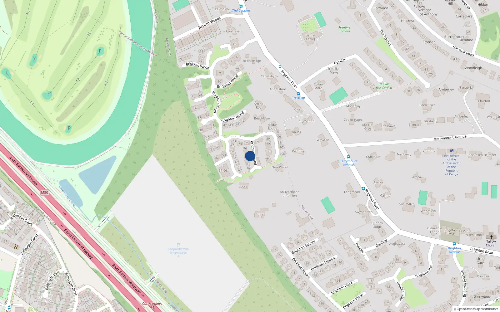 Overhead map showing the location of 79 Brighton Wood, Foxrock