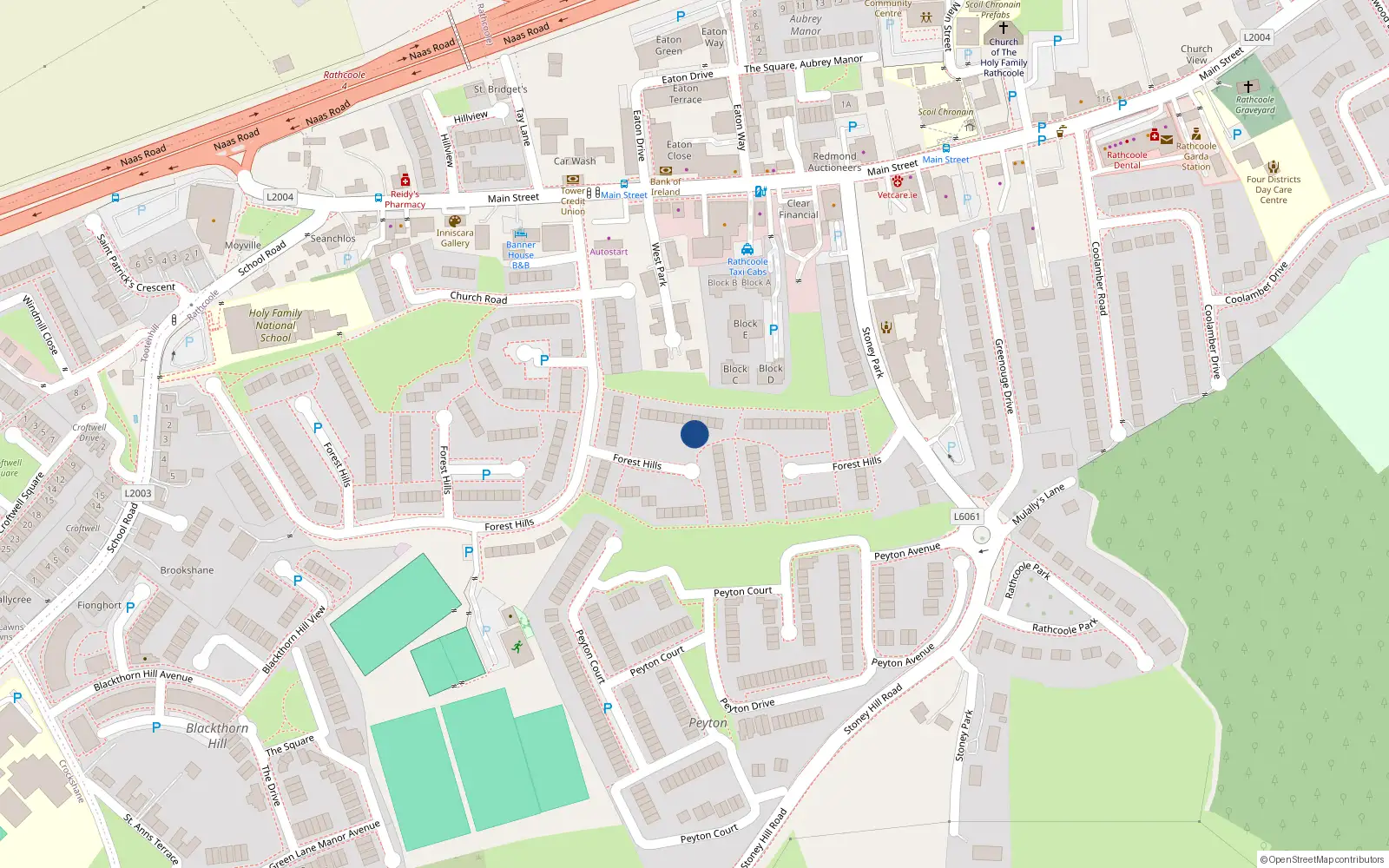 Overhead map showing the location of 79 Forest Hills, Rathcoole