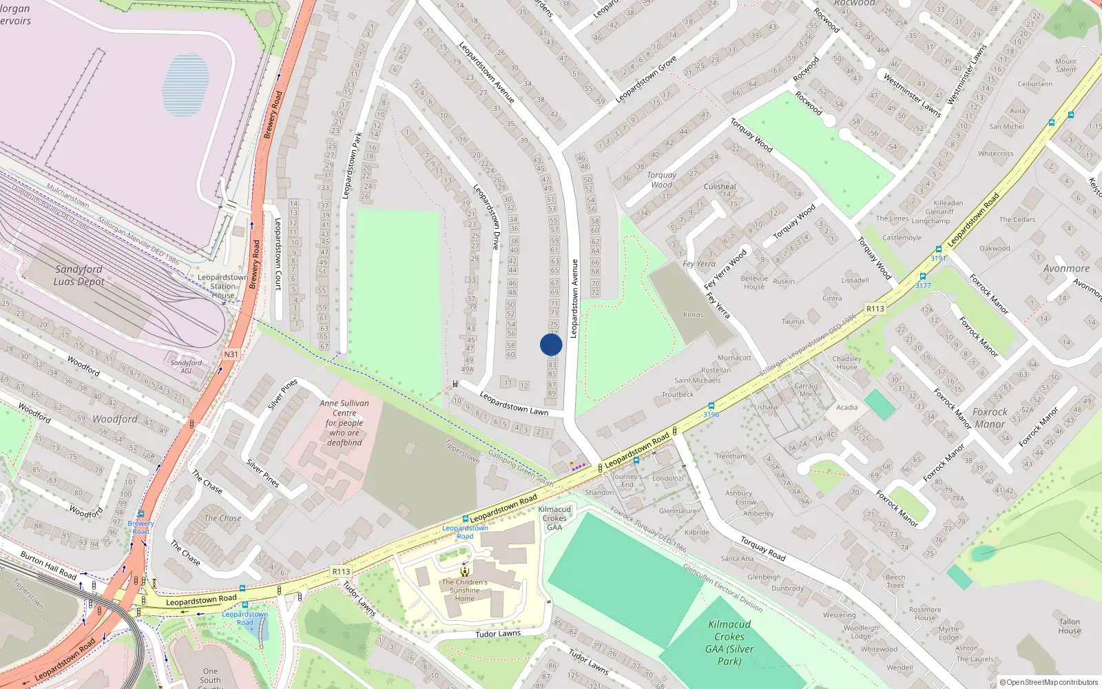 Overhead map showing the location of 79 Leopardstown Avenue, Dublin